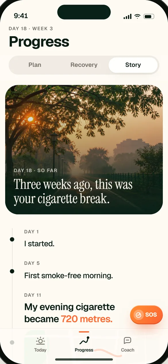 Story: private progress, maps and milestones. Illustrative app preview.